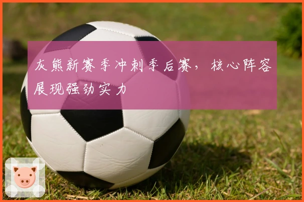 灰熊新赛季冲刺季后赛，核心阵容展现强劲实力